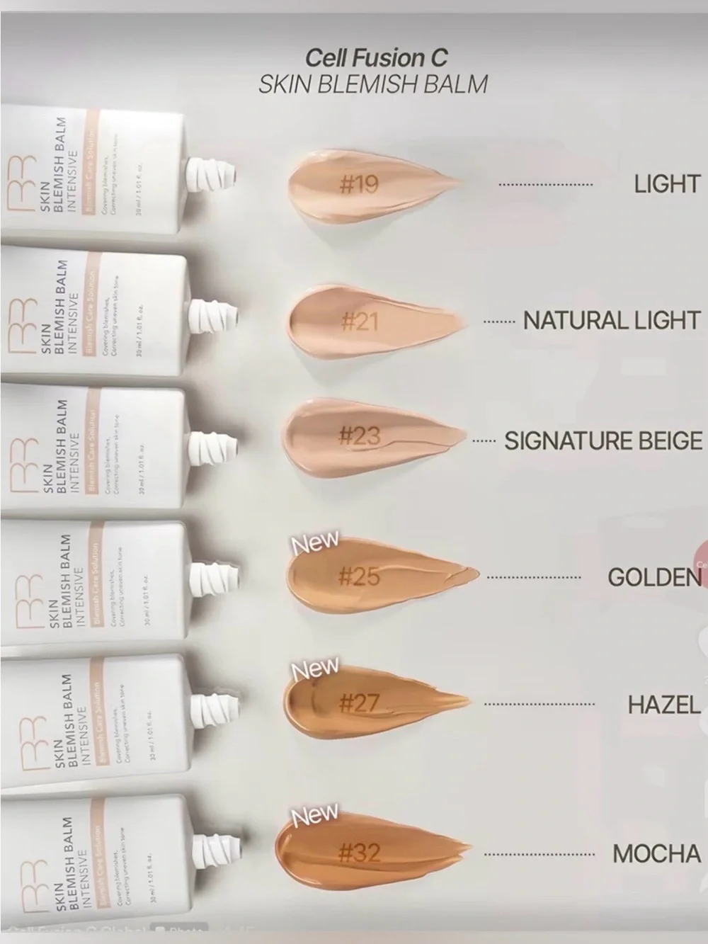 Cell Fusion C create smooth